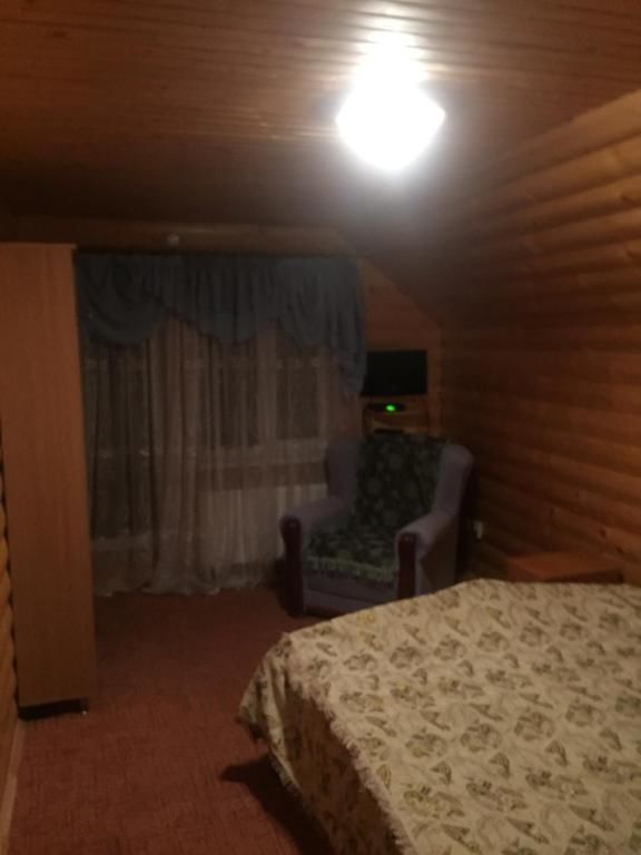 Гостевой дом Сонячні Карпати Славское-38