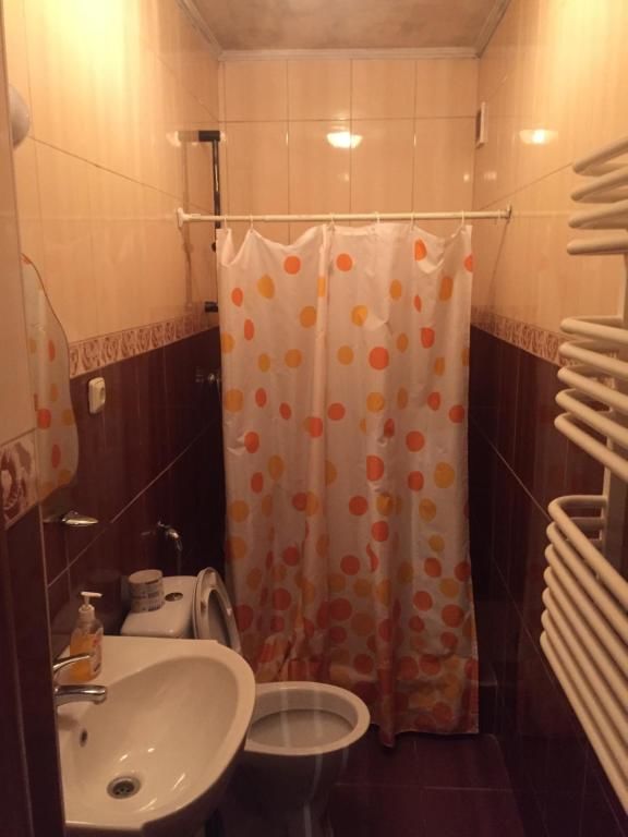 Гостевой дом Сонячні Карпати Славское-43